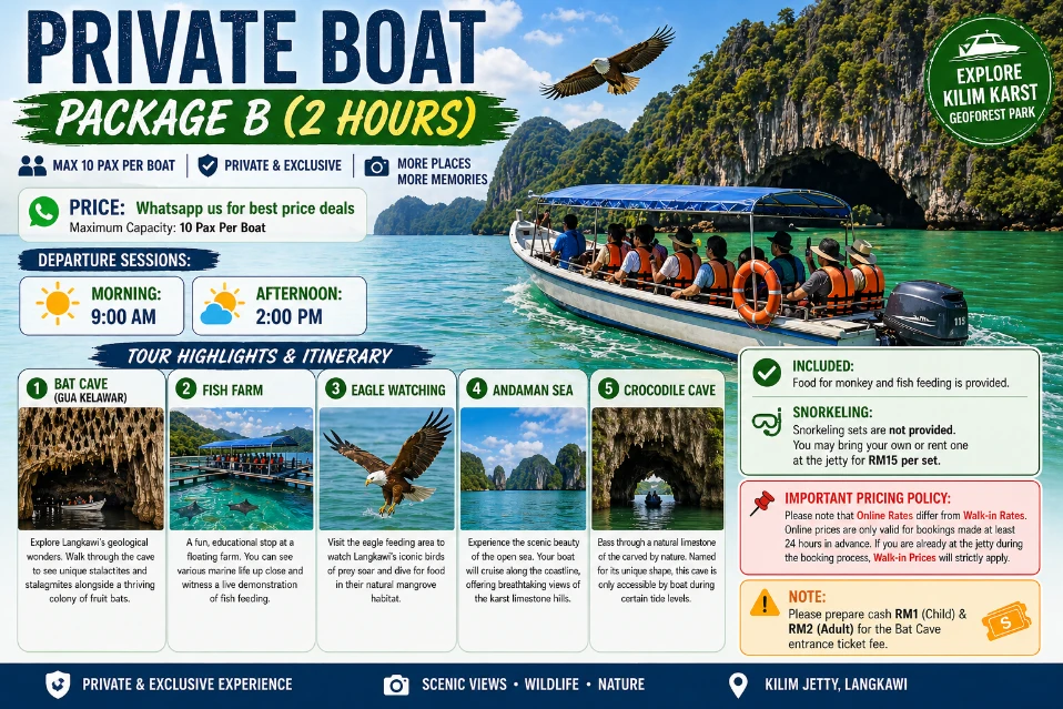 2 Hours Private Mangrove Boat Tour