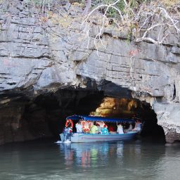 Langkawi-Mangrove-Tour-Crocodile-Cave