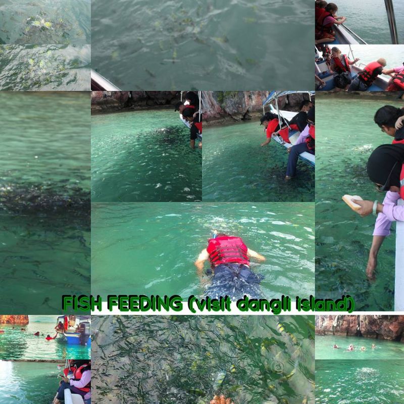 Dangli Island (Fish Feeding)